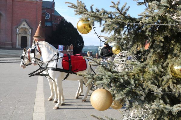 Državna ergela Đakovo