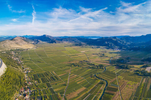 Zlatna dolina dobrog vina – Staševica i polje Jezero