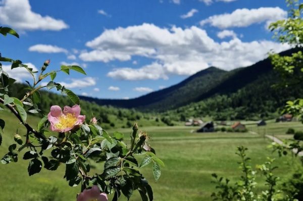 Otvorena je nova poučna “Staza Krasno” u Nacionalnom parku Sjeverni Velebit